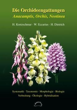 Die Orchideengattungen Anacamptis, Orchis, Neotinea von Dietrich,  Helga, Eccarius,  Wolfgang, Kretzschmar,  Horst