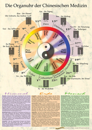 Die Organuhr der Chinesischen Medizin (Poster DIN A2) von Stuhlmacher,  Joachim