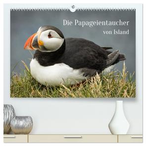 Die Papageientaucher von Island (hochwertiger Premium Wandkalender 2024 DIN A2 quer), Kunstdruck in Hochglanz von Inxtagenumdiewelt,  Inxtagenumdiewelt