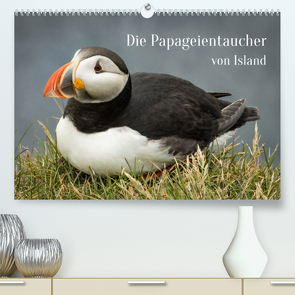 Die Papageientaucher von Island (Premium, hochwertiger DIN A2 Wandkalender 2023, Kunstdruck in Hochglanz) von Inxtagenumdiewelt