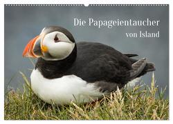 Die Papageientaucher von Island (Wandkalender 2024 DIN A2 quer), CALVENDO Monatskalender von Inxtagenumdiewelt,  Inxtagenumdiewelt