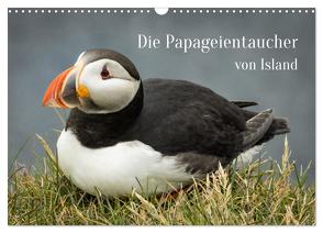 Die Papageientaucher von Island (Wandkalender 2024 DIN A3 quer), CALVENDO Monatskalender von Inxtagenumdiewelt,  Inxtagenumdiewelt