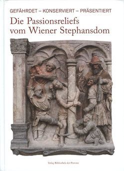 Die Passionsreliefs vom Wiener Stephansdom von Husslein-Arco,  Agnes, Kohn,  Renate, Linke,  Robert, Nimmrichter,  Johann, Pirker-Aurenhammer,  Veronika, Plieger,  Cornelia, Rohatsch,  Andreas, Santner,  Markus, Zehetner,  Wolfgang, Zowa,  Gertrud