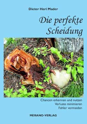 Die perfekte Scheidung von Mader,  Dieter Heri