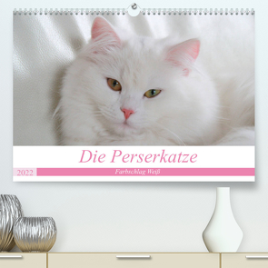 Die Perserkatze – Farbschlag Weiß (Premium, hochwertiger DIN A2 Wandkalender 2022, Kunstdruck in Hochglanz) von Klatt,  Arno