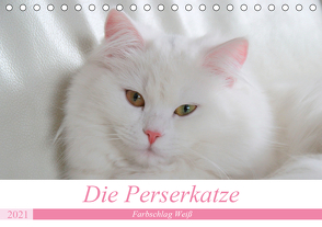 Die Perserkatze – Farbschlag Weiß (Tischkalender 2021 DIN A5 quer) von Klatt,  Arno