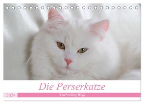 Die Perserkatze – Farbschlag Weiß (Tischkalender 2024 DIN A5 quer), CALVENDO Monatskalender von Klatt,  Arno