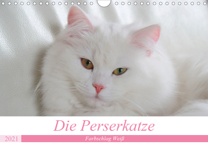 Die Perserkatze – Farbschlag Weiß (Wandkalender 2021 DIN A4 quer) von Klatt,  Arno