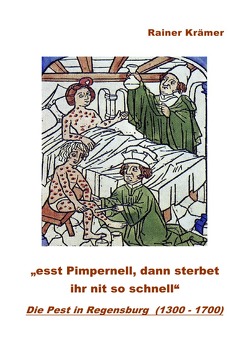 Die Pest in Regensburg (1300 – 1700) von Krämer,  Rainer