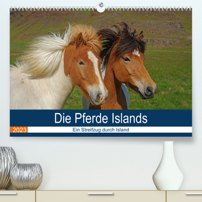 Die Pferde Islands – Ein Streifzug durch Island (Premium, hochwertiger DIN A2 Wandkalender 2023, Kunstdruck in Hochglanz) von Pantke,  Reinhard