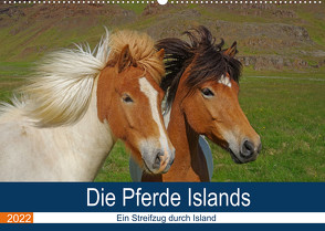 Die Pferde Islands – Ein Streifzug durch Island (Wandkalender 2022 DIN A2 quer) von Pantke,  Reinhard