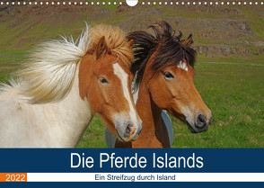 Die Pferde Islands – Ein Streifzug durch Island (Wandkalender 2022 DIN A3 quer) von Pantke,  Reinhard