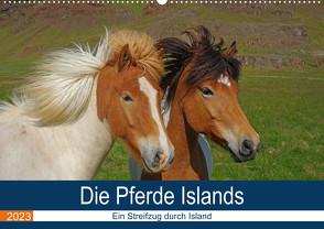 Die Pferde Islands – Ein Streifzug durch Island (Wandkalender 2023 DIN A2 quer) von Pantke,  Reinhard