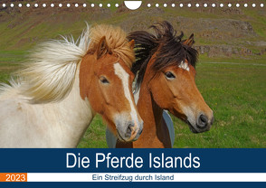 Die Pferde Islands – Ein Streifzug durch Island (Wandkalender 2023 DIN A4 quer) von Pantke,  Reinhard