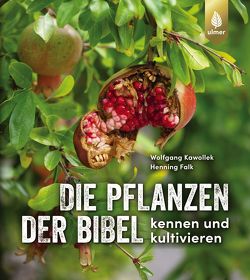 Die Pflanzen der Bibel von Falk,  Henning, Kawollek,  Wolfgang