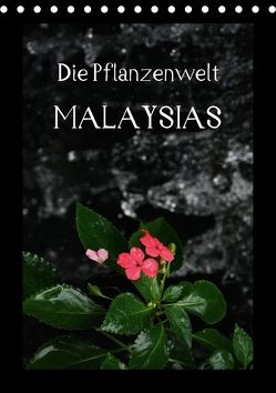 Die Pflanzwenwelt Malaysias (Tischkalender 2018 DIN A5 hoch) von Lustig,  Daniel