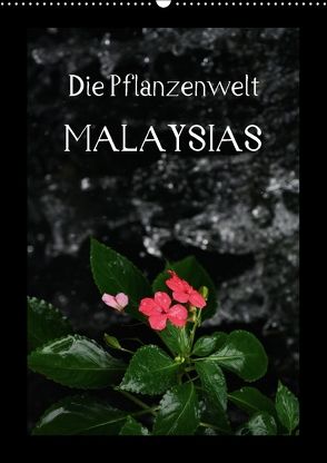 Die Pflanzwenwelt Malaysias (Wandkalender 2018 DIN A2 hoch) von Lustig,  Daniel
