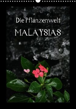 Die Pflanzwenwelt Malaysias (Wandkalender 2018 DIN A3 hoch) von Lustig,  Daniel