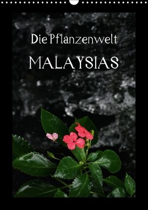 Die Pflanzwenwelt Malaysias (Wandkalender 2018 DIN A3 hoch) von Lustig,  Daniel