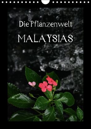 Die Pflanzwenwelt Malaysias (Wandkalender 2018 DIN A4 hoch) von Lustig,  Daniel