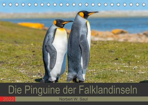 Die Pinguine der Falklandinseln (Tischkalender 2022 DIN A5 quer) von W. Saul,  Norbert
