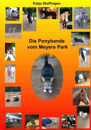 Die Ponybande vom Meyers Park von Stoffregen,  Katja