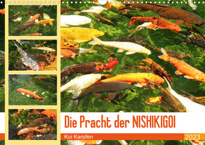 Die Pracht der NISHIKIGOI – Koi Karpfen (Wandkalender 2023 DIN A3 quer) von Lantzsch,  Katrin