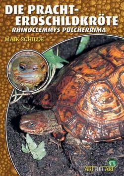 Die Pracht-Erdschildkröte von Schilde,  Maik