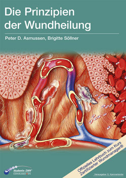 Die Prinzipien der Wundheilung von Asmussen,  Peter D., Kammerlander,  Gerhard, Söllner,  Brigitte