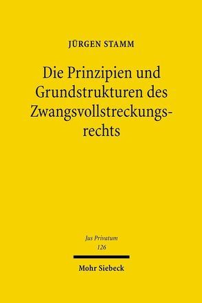 Die Prinzipien und Grundstrukturen des Zwangsvollstreckungsrechts von Stamm,  Jürgen