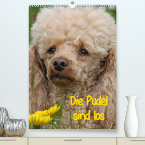 Die Pudel sind los (Premium, hochwertiger DIN A2 Wandkalender 2023, Kunstdruck in Hochglanz) von Lindert-Rottke,  Antje
