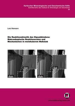 Die Reaktionskinetik des Gipsabbindens: Makroskopische Reaktionsraten und Mechanismen in molekularem Massstab von Niemann,  Lars