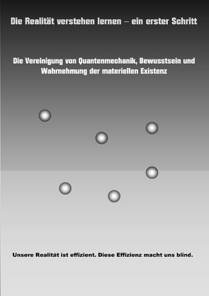 Die Realität verstehen lernen – ein erster Schritt von Richter,  Carsten