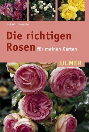 Die richtigen Rosen für meinen Garten von Haenchen,  Eckart