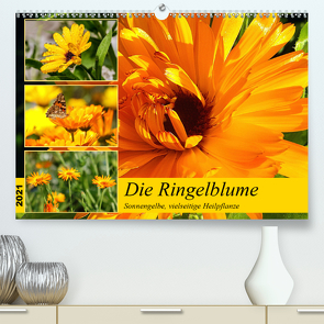 Die Ringelblume. Sonnengelbe, vielseitige Heilpflanze (Premium, hochwertiger DIN A2 Wandkalender 2021, Kunstdruck in Hochglanz) von Hurley,  Rose