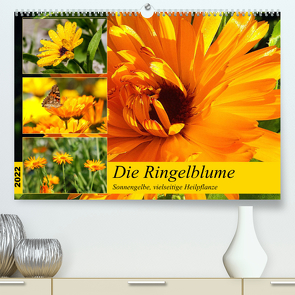 Die Ringelblume. Sonnengelbe, vielseitige Heilpflanze (Premium, hochwertiger DIN A2 Wandkalender 2022, Kunstdruck in Hochglanz) von Hurley,  Rose