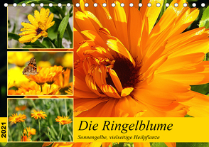 Die Ringelblume. Sonnengelbe, vielseitige Heilpflanze (Tischkalender 2021 DIN A5 quer) von Hurley,  Rose