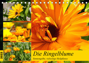 Die Ringelblume. Sonnengelbe, vielseitige Heilpflanze (Tischkalender 2022 DIN A5 quer) von Hurley,  Rose