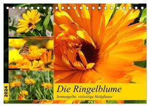 Die Ringelblume. Sonnengelbe, vielseitige Heilpflanze (Tischkalender 2024 DIN A5 quer), CALVENDO Monatskalender von Hurley,  Rose