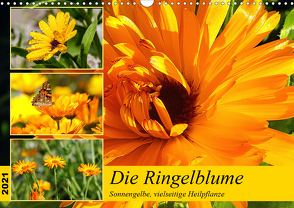 Die Ringelblume. Sonnengelbe, vielseitige Heilpflanze (Wandkalender 2021 DIN A3 quer) von Hurley,  Rose