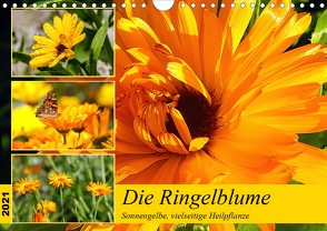 Die Ringelblume. Sonnengelbe, vielseitige Heilpflanze (Wandkalender 2021 DIN A4 quer) von Hurley,  Rose