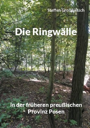 Die Ringwälle von Großpietsch,  Steffen