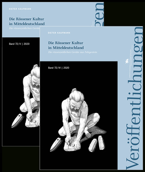 Die Rössener Kultur in Mitteldeutschland. Die rössenzeitlichen Geräte aus Felsgestein (Veröffentlichungen des Landesamtes für Denkmalpflege 72/V-VI) von Kaufmann,  Dieter, Meller,  Harald