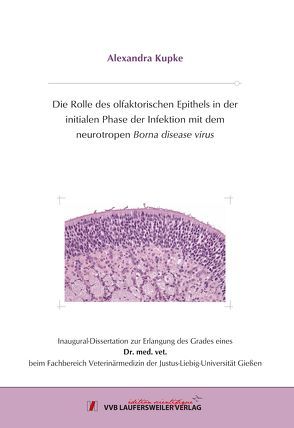 Die Rolle des olfaktorischen Epithels in der initialen Phase der Infektion mit dem neurotropen Borna disease virus von Kupke,  Alexandra