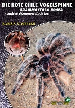 Die Rote Chile-Vogelspinne von Striffler,  Boris F.