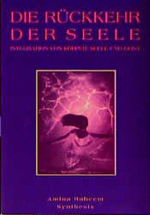 Die Rückkehr der Seele von Petersen,  Karin, Raheem,  Aminah