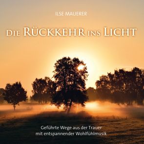 Die Rückkehr ins Licht von Mauerer,  Ilse