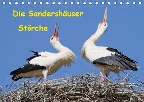 Die Sandershäuser Störche (Tischkalender 2019 DIN A5 quer) von Martin,  Wilfried