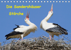 Die Sandershäuser Störche (Tischkalender 2021 DIN A5 quer) von Martin,  Wilfried