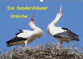 Die Sandershäuser Störche (Wandkalender 2019 DIN A3 quer) von Martin,  Wilfried